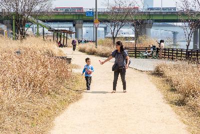 Walk Along Han River April 2016