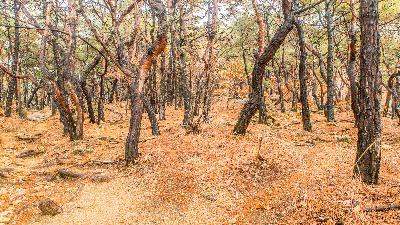 Hiking in Seoul February 2016